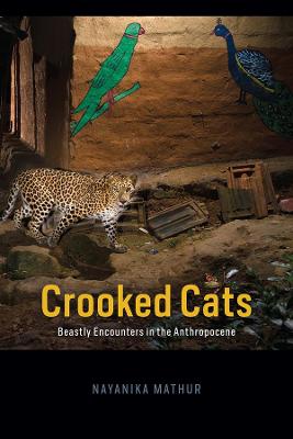 Animal Lives: Crooked Cats
