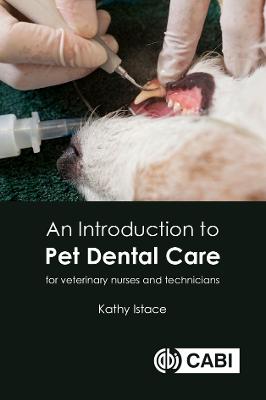 An Introduction to Pet Dental Care