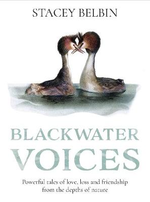 Blackwater Voices