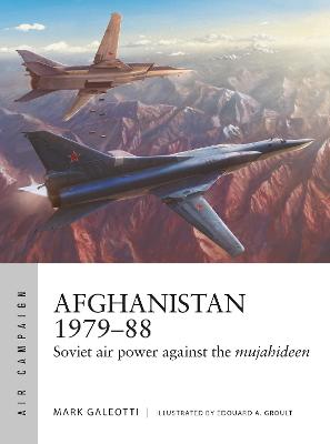 Afghanistan 1979-88